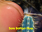 Sore Bottom Guys